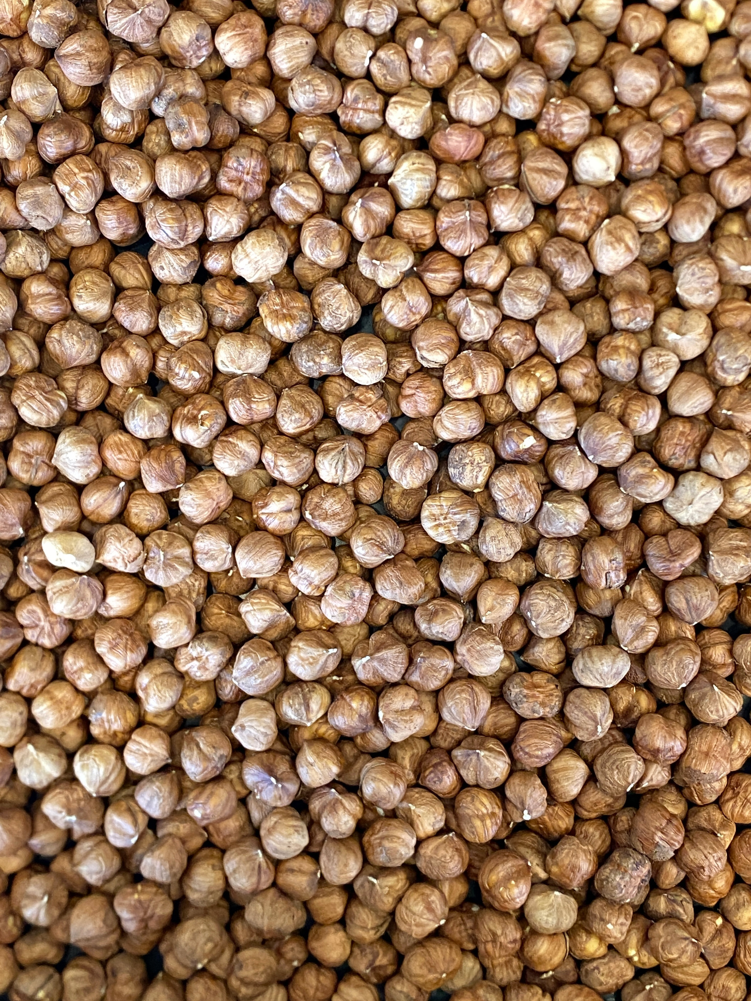 Sirov lešnik Hazelnut Land