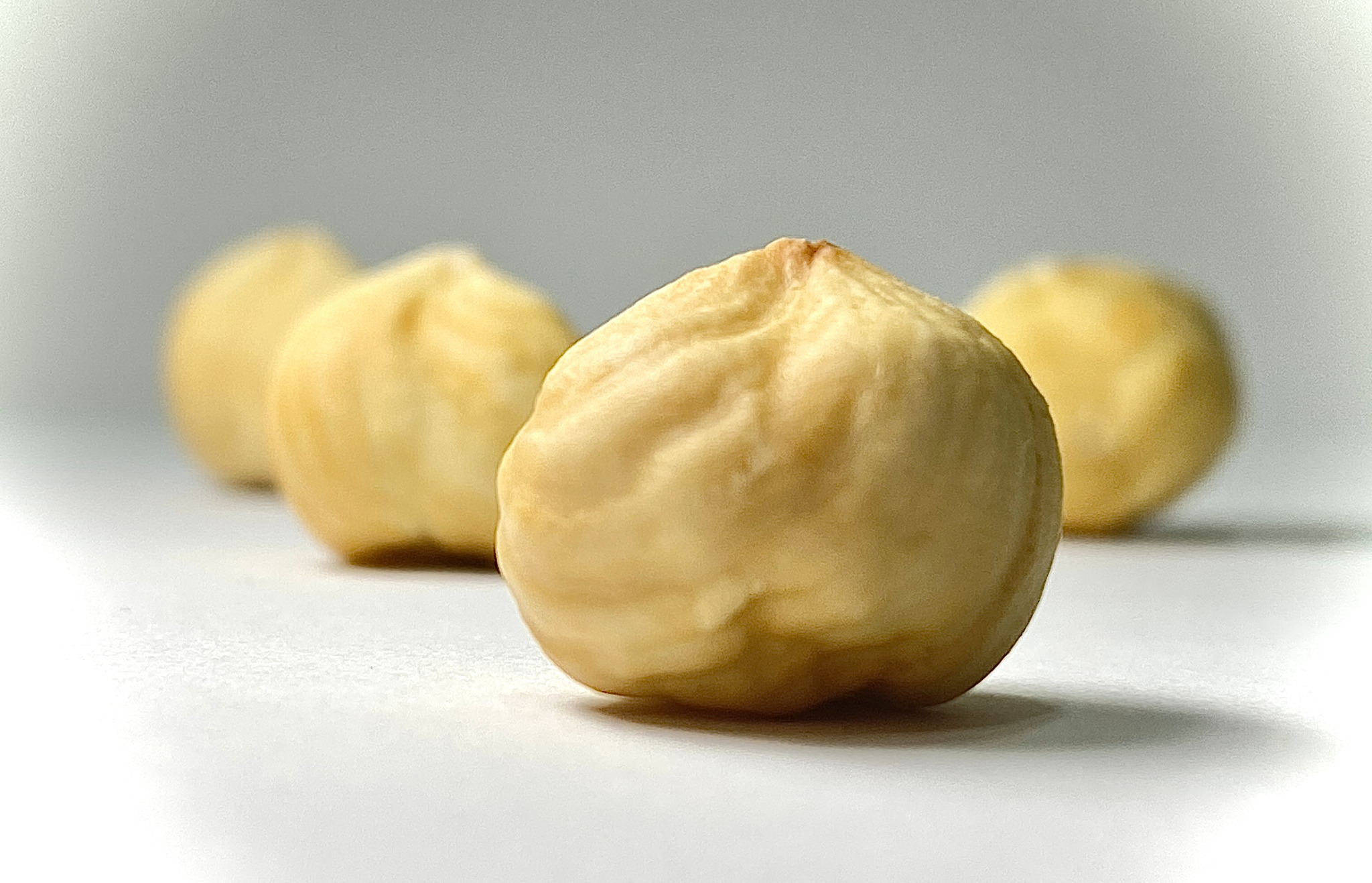 Detalj sirovog lešnika Hazelnut Land