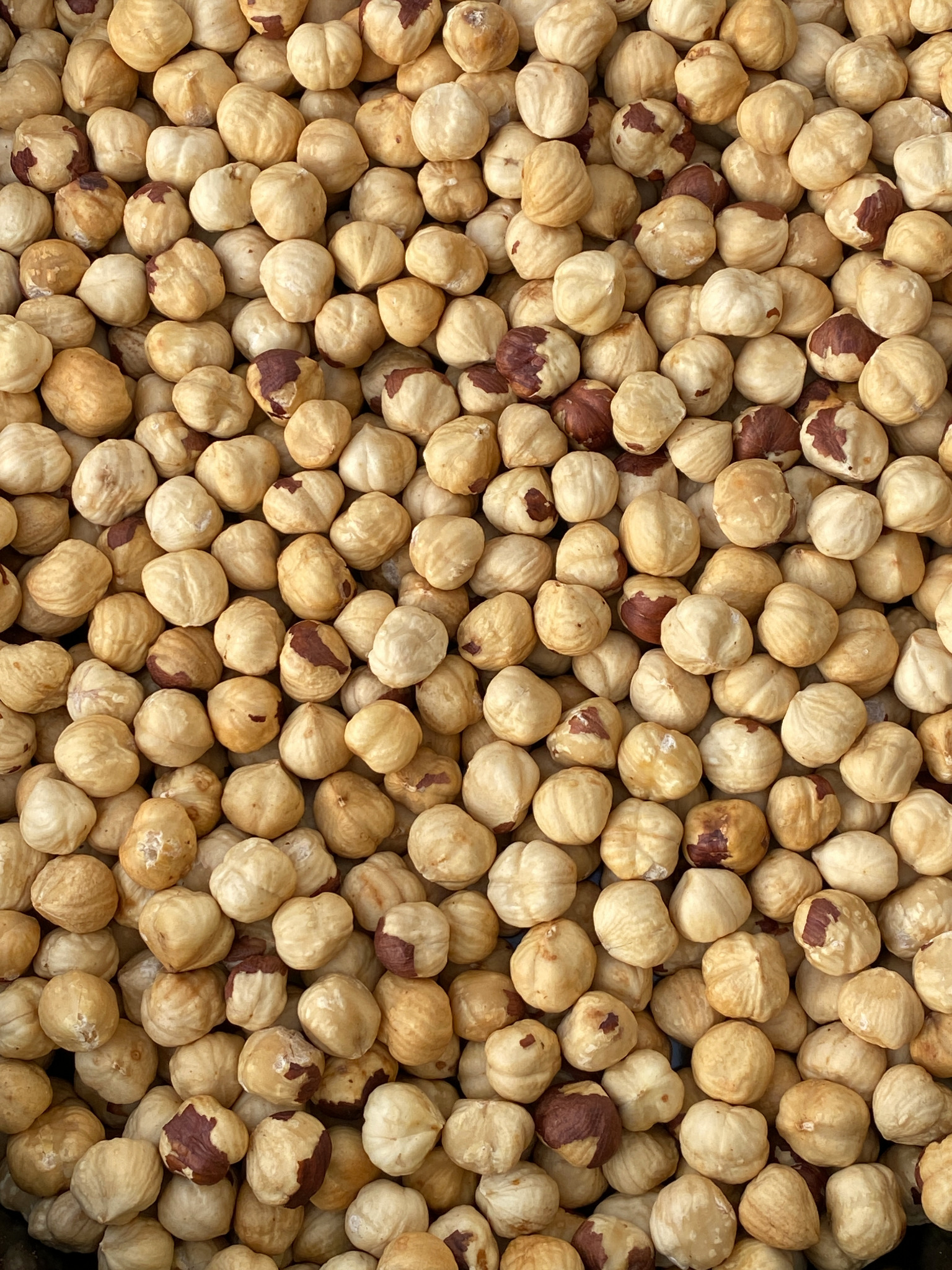 Pečeni lešnik Hazelnut Land
